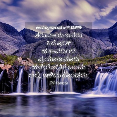 Picture 04 - ಅರಣ್ಯಕಾಂಡ 11:35 KANIRV - ತರುವಾಯ ಜನರು - Bible Verse Picture