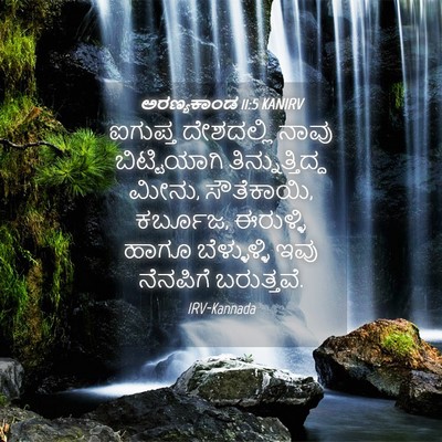 Picture 04 - ಅರಣ್ಯಕಾಂಡ 11:5 KANIRV - ಐಗುಪ್ತ ದೇಶದಲ್ಲಿ - Bible Verse Picture