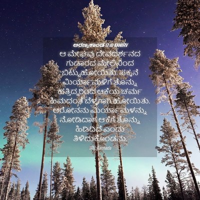 Picture 04 - ಅರಣ್ಯಕಾಂಡ 12:10 KANIRV - ಆ ಮೇಘವು ದೇವದರ್ಶನದ - Bible Verse Picture