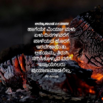 Picture 04 - ಅರಣ್ಯಕಾಂಡ 12:15 KANIRV - ಹಾಗೆಯೇ ಮಿರ್ಯಾಮಳು - Bible Verse Picture