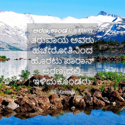 Picture 04 - ಅರಣ್ಯಕಾಂಡ 12:16 KANIRV - ತರುವಾಯ ಅವರು - Bible Verse Picture