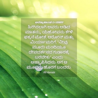 Picture 04 - ಅರಣ್ಯಕಾಂಡ 12:4 KANIRV - ಹೀಗಿರಲಾಗಿ ಅವರು - Bible Verse Picture