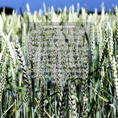 Picture 04 - ಅರಣ್ಯಕಾಂಡ 12:8 KANIRV - ನಾನು ಅವನ ಸಂಗಡ - Bible Verse Picture