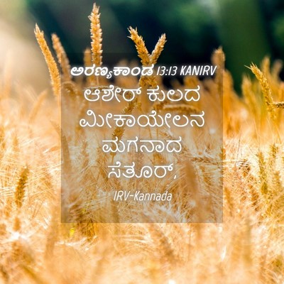 Picture 04 - ಅರಣ್ಯಕಾಂಡ 13:13 KANIRV - ಆಶೇರ್ ಕುಲದ - Bible Verse Picture