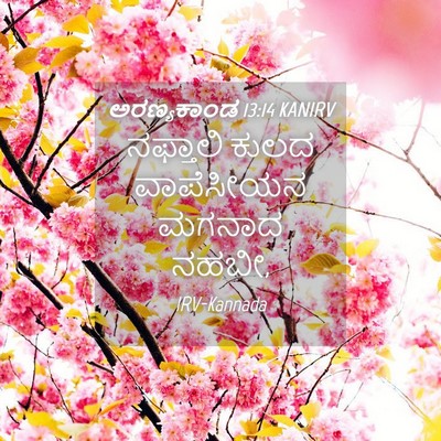 Picture 04 - ಅರಣ್ಯಕಾಂಡ 13:14 KANIRV - ನಫ್ತಾಲಿ ಕುಲದ - Bible Verse Picture