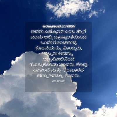 Picture 04 - ಅರಣ್ಯಕಾಂಡ 13:23 KANIRV - ಅವರು ಎಷ್ಕೋಲ್ ಎಂಬ - Bible Verse Picture