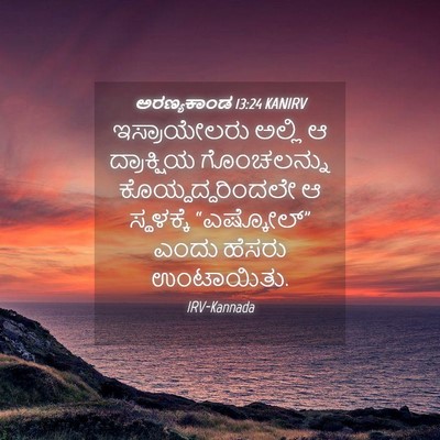Picture 04 - ಅರಣ್ಯಕಾಂಡ 13:24 KANIRV - ಇಸ್ರಾಯೇಲರು ಅಲ್ಲಿ - Bible Verse Picture