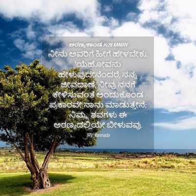 Picture 04 - ಅರಣ್ಯಕಾಂಡ 14:28 KANIRV - ನೀನು ಅವರಿಗೆ ಹೀಗೆ - Bible Verse Picture