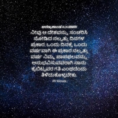Picture 04 - ಅರಣ್ಯಕಾಂಡ 14:34 KANIRV - ನೀವು ಆ ದೇಶವನ್ನು - Bible Verse Picture
