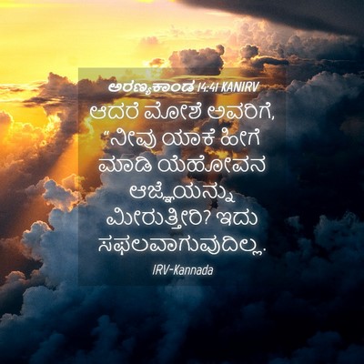 Picture 04 - ಅರಣ್ಯಕಾಂಡ 14:41 KANIRV - ಆದರೆ ಮೋಶೆ ಅವರಿಗೆ, - Bible Verse Picture