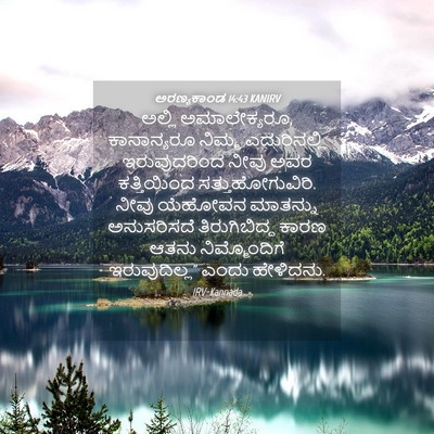 Picture 04 - ಅರಣ್ಯಕಾಂಡ 14:43 KANIRV - ಅಲ್ಲಿ ಅಮಾಲೇಕ್ಯರೂ, - Bible Verse Picture
