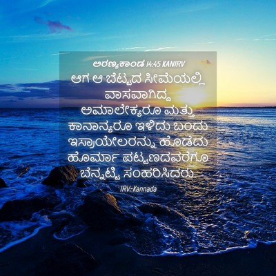 Picture 04 - ಅರಣ್ಯಕಾಂಡ 14:45 KANIRV - ಆಗ ಆ ಬೆಟ್ಟದ - Bible Verse Picture