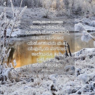 Picture 04 - ಅರಣ್ಯಕಾಂಡ 14:6 KANIRV - ಕಾನಾನ್ ದೇಶವನ್ನು - Bible Verse Picture