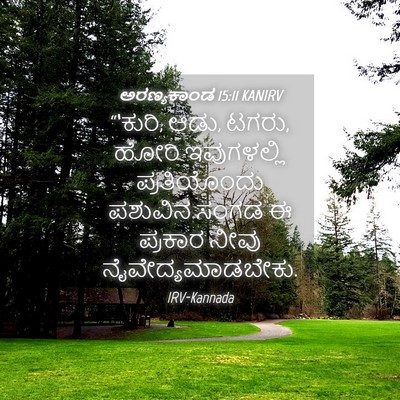 Picture 04 - ಅರಣ್ಯಕಾಂಡ 15:11 KANIRV - “‘ಕುರಿ, ಆಡು, ಟಗರು, - Bible Verse Picture