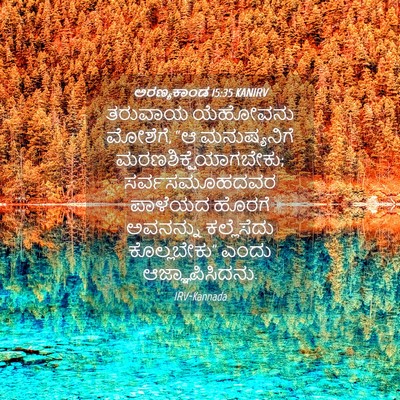 Picture 04 - ಅರಣ್ಯಕಾಂಡ 15:35 KANIRV - ತರುವಾಯ ಯೆಹೋವನು - Bible Verse Picture