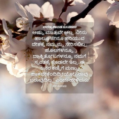 Picture 04 - ಅರಣ್ಯಕಾಂಡ 16:14 KANIRV - ಅಷ್ಟು ಮಾತ್ರವೇ - Bible Verse Picture