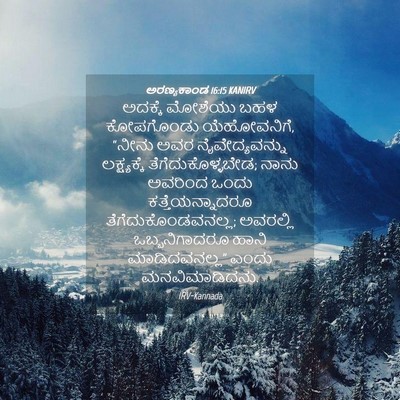 Picture 04 - ಅರಣ್ಯಕಾಂಡ 16:15 KANIRV - ಅದಕ್ಕೆ ಮೋಶೆಯು ಬಹಳ - Bible Verse Picture