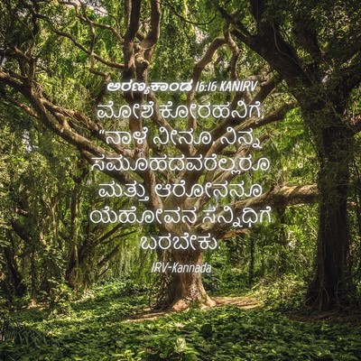 Picture 04 - ಅರಣ್ಯಕಾಂಡ 16:16 KANIRV - ಮೋಶೆ ಕೋರಹನಿಗೆ, - Bible Verse Picture