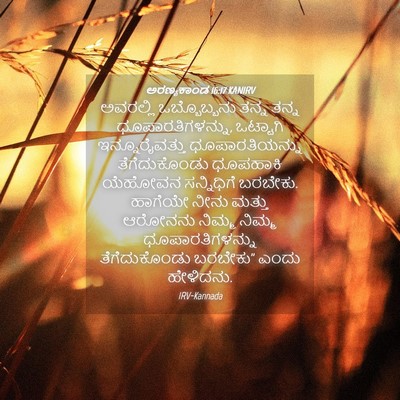 Picture 04 - ಅರಣ್ಯಕಾಂಡ 16:17 KANIRV - ಅವರಲ್ಲಿ - Bible Verse Picture