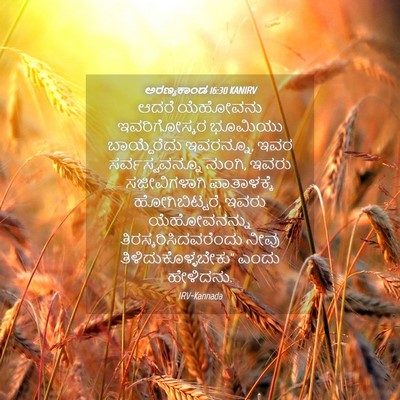Picture 04 - ಅರಣ್ಯಕಾಂಡ 16:30 KANIRV - ಆದರೆ ಯೆಹೋವನು - Bible Verse Picture