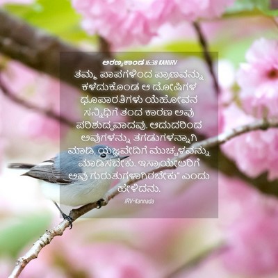 Picture 04 - ಅರಣ್ಯಕಾಂಡ 16:38 KANIRV - ತಮ್ಮ ಪಾಪಗಳಿಂದ - Bible Verse Picture