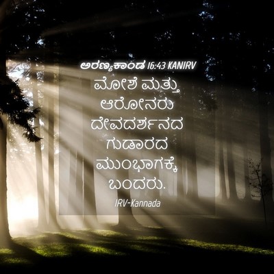 Picture 04 - ಅರಣ್ಯಕಾಂಡ 16:43 KANIRV - ಮೋಶೆ ಮತ್ತು ಆರೋನರು - Bible Verse Picture