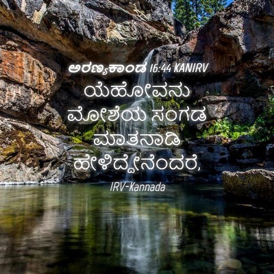 Picture 04 - ಅರಣ್ಯಕಾಂಡ 16:44 KANIRV - ಯೆಹೋವನು ಮೋಶೆಯ - Bible Verse Picture