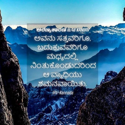 Picture 04 - ಅರಣ್ಯಕಾಂಡ 16:48 KANIRV - ಅವನು ಸತ್ತವರಿಗೂ, - Bible Verse Picture