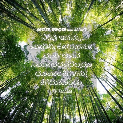 Picture 04 - ಅರಣ್ಯಕಾಂಡ 16:6 KANIRV - ನೀವು ಇದನ್ನು - Bible Verse Picture
