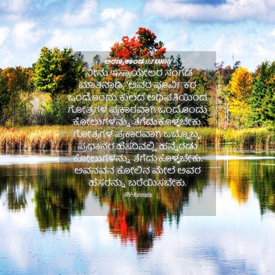 Picture 04 - ಅರಣ್ಯಕಾಂಡ 17:2 KANIRV - “ನೀನು ಇಸ್ರಾಯೇಲರ - Bible Verse Picture