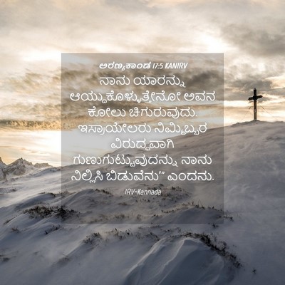 Picture 04 - ಅರಣ್ಯಕಾಂಡ 17:5 KANIRV - ನಾನು ಯಾರನ್ನು - Bible Verse Picture