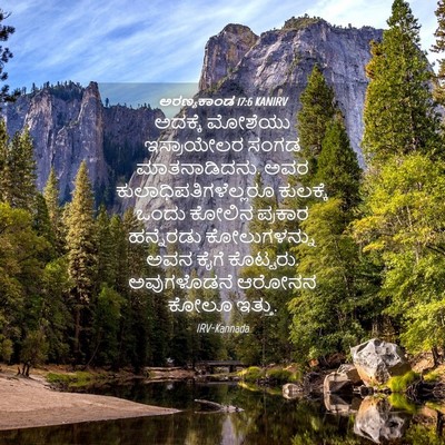 Picture 04 - ಅರಣ್ಯಕಾಂಡ 17:6 KANIRV - ಅದಕ್ಕೆ ಮೋಶೆಯು - Bible Verse Picture