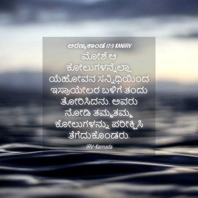 Picture 04 - ಅರಣ್ಯಕಾಂಡ 17:9 KANIRV - ಮೋಶೆ ಆ - Bible Verse Picture