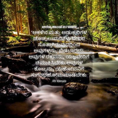 Picture 04 - ಅರಣ್ಯಕಾಂಡ 18:17 KANIRV - “ಆಕಳಿನ ಮತ್ತು - Bible Verse Picture