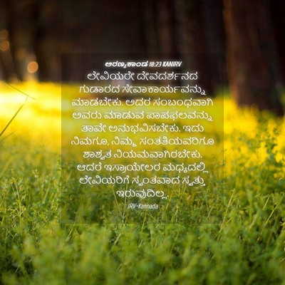 Picture 04 - ಅರಣ್ಯಕಾಂಡ 18:23 KANIRV - ಲೇವಿಯರೇ ದೇವದರ್ಶನದ - Bible Verse Picture