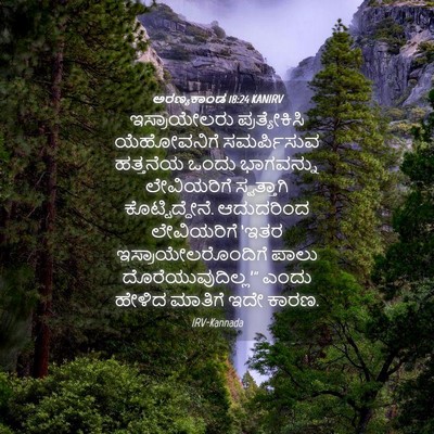 Picture 04 - ಅರಣ್ಯಕಾಂಡ 18:24 KANIRV - ಇಸ್ರಾಯೇಲರು - Bible Verse Picture