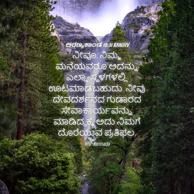 Picture 04 - ಅರಣ್ಯಕಾಂಡ 18:31 KANIRV - ನೀವೂ, ನಿಮ್ಮ - Bible Verse Picture