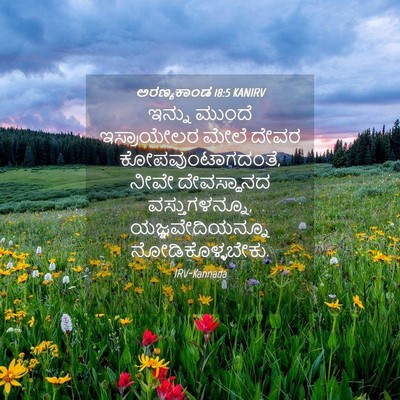 Picture 04 - ಅರಣ್ಯಕಾಂಡ 18:5 KANIRV - ಇನ್ನು ಮುಂದೆ - Bible Verse Picture