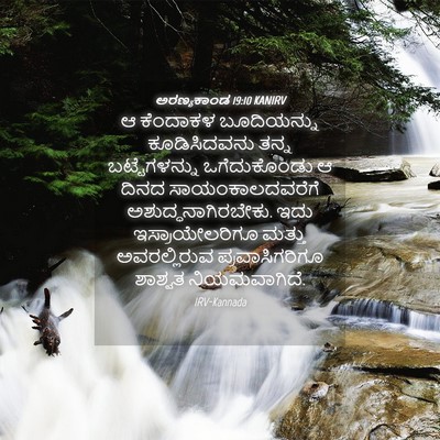 Picture 04 - ಅರಣ್ಯಕಾಂಡ 19:10 KANIRV - ಆ ಕೆಂದಾಕಳ - Bible Verse Picture
