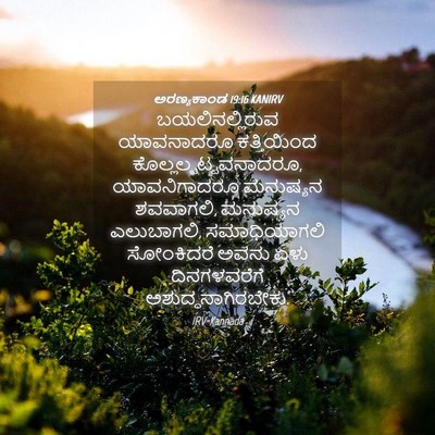 Picture 04 - ಅರಣ್ಯಕಾಂಡ 19:16 KANIRV - ಬಯಲಿನಲ್ಲಿರುವ - Bible Verse Picture