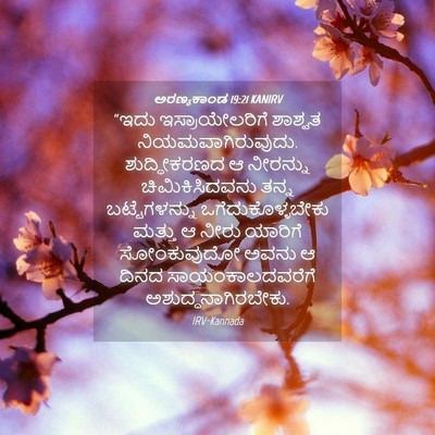 Picture 04 - ಅರಣ್ಯಕಾಂಡ 19:21 KANIRV - “ಇದು ಇಸ್ರಾಯೇಲರಿಗೆ - Bible Verse Picture