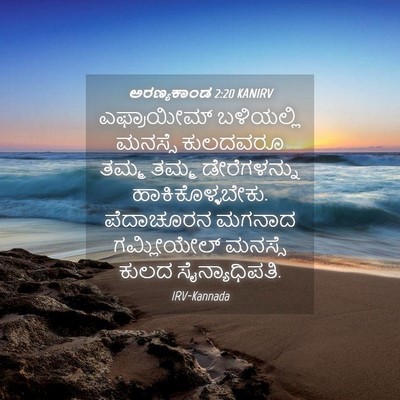 Picture 04 - ಅರಣ್ಯಕಾಂಡ 2:20 KANIRV - ಎಫ್ರಾಯೀಮ್ - Bible Verse Picture