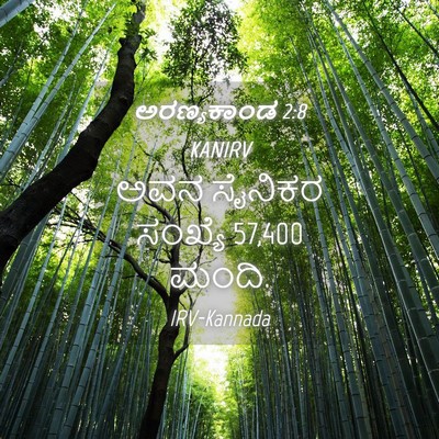 Picture 04 - ಅರಣ್ಯಕಾಂಡ 2:8 KANIRV - ಅವನ ಸೈನಿಕರ ಸಂಖ್ಯೆ - Bible Verse Picture