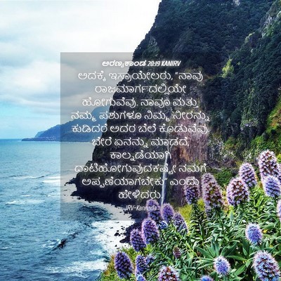 Picture 04 - ಅರಣ್ಯಕಾಂಡ 20:19 KANIRV - ಅದಕ್ಕೆ - Bible Verse Picture