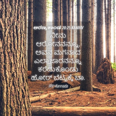 Picture 04 - ಅರಣ್ಯಕಾಂಡ 20:25 KANIRV - ನೀನು ಆರೋನನನ್ನೂ, - Bible Verse Picture