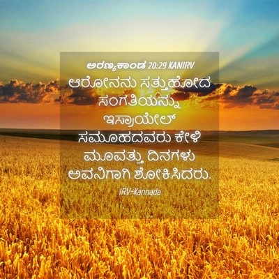 Picture 04 - ಅರಣ್ಯಕಾಂಡ 20:29 KANIRV - ಆರೋನನು ಸತ್ತುಹೋದ - Bible Verse Picture