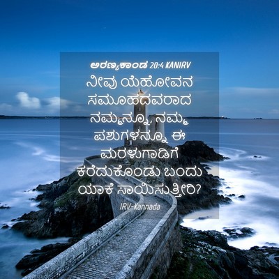 Picture 04 - ಅರಣ್ಯಕಾಂಡ 20:4 KANIRV - ನೀವು ಯೆಹೋವನ - Bible Verse Picture
