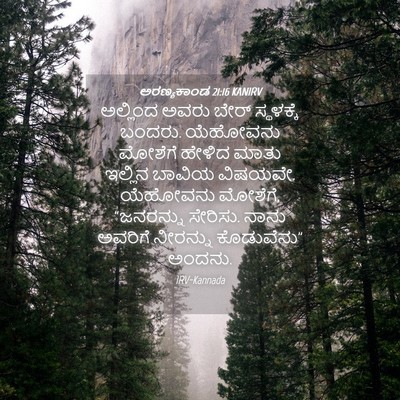 Picture 04 - ಅರಣ್ಯಕಾಂಡ 21:16 KANIRV - ಅಲ್ಲಿಂದ ಅವರು ಬೇರ್ - Bible Verse Picture