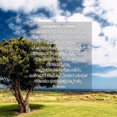 Picture 04 - ಅರಣ್ಯಕಾಂಡ 21:24 KANIRV - ಇಸ್ರಾಯೇಲರು ಅವನ - Bible Verse Picture