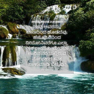 Picture 04 - ಅರಣ್ಯಕಾಂಡ 21:30 KANIRV - ನಾವು ಅವರನ್ನು - Bible Verse Picture